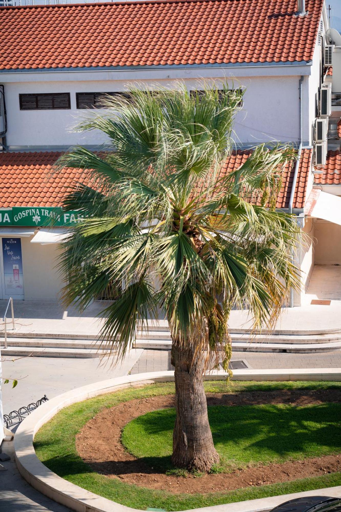 Apartments Centar Водице Екстериор снимка